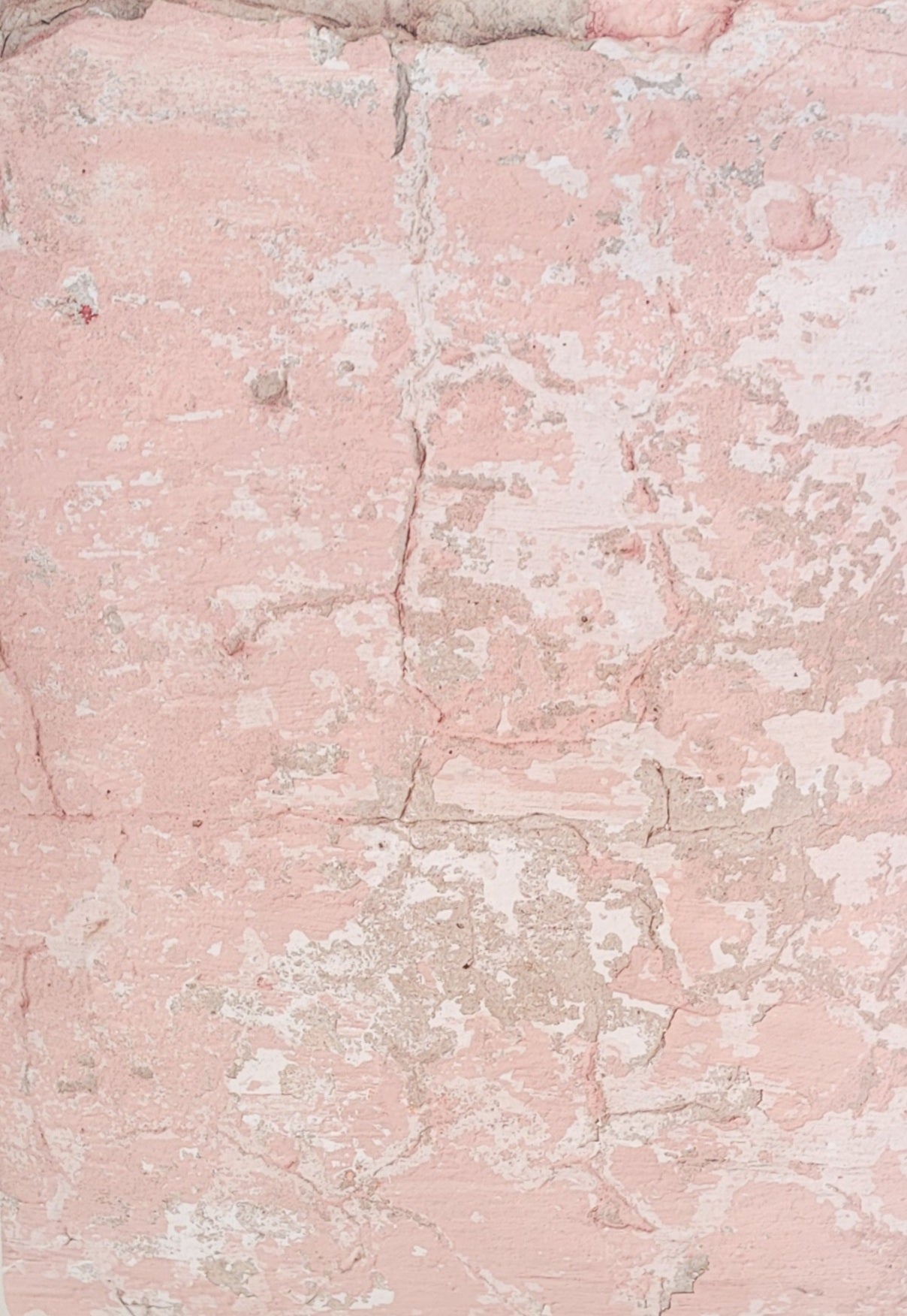 Backdrop Rustic Pink