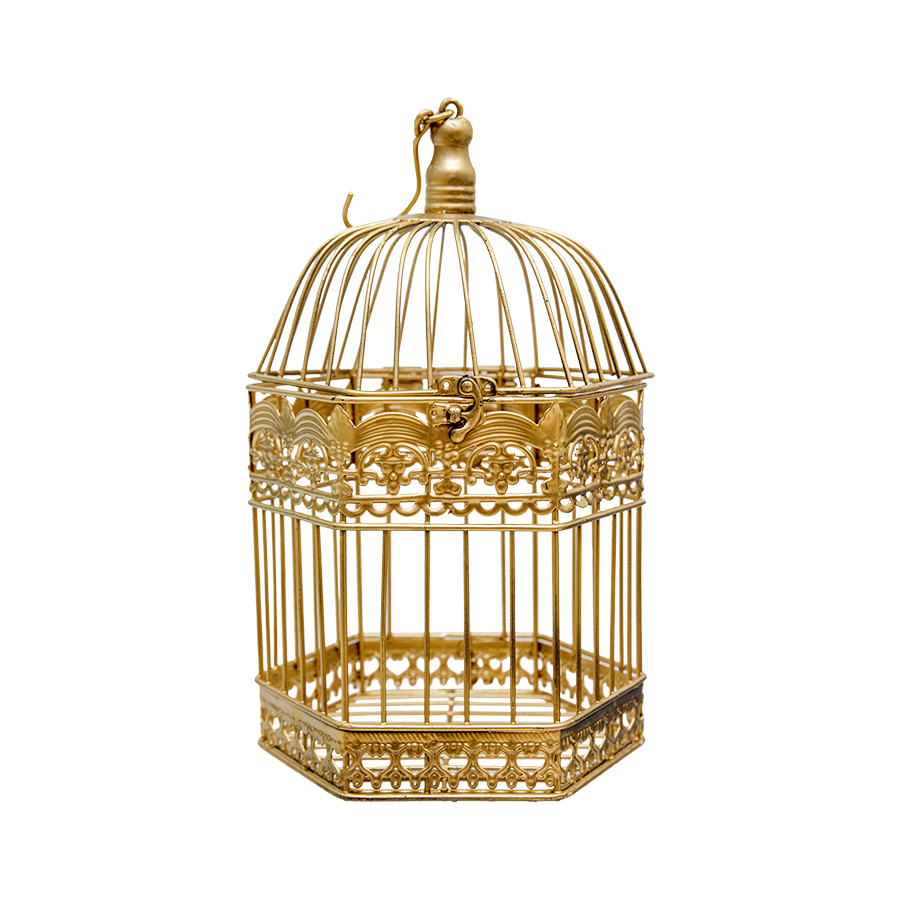 Birdcage Gold Medium