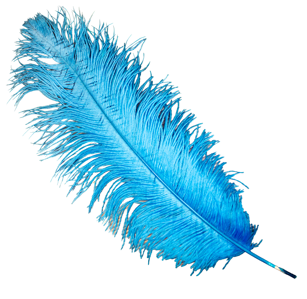 Feathers Ostrich Light Blue Assorted Sizes