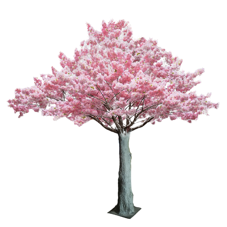 Pink Tree 2024