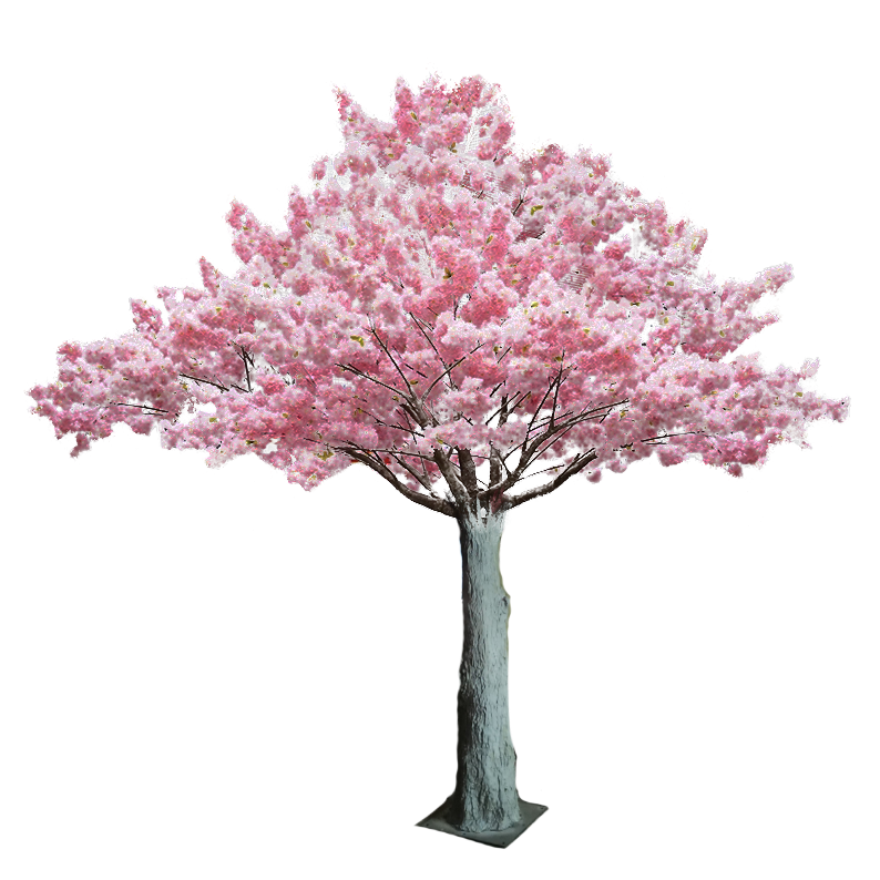 Cherry Blossom Tree Blush Pink Leaves x 3.5W