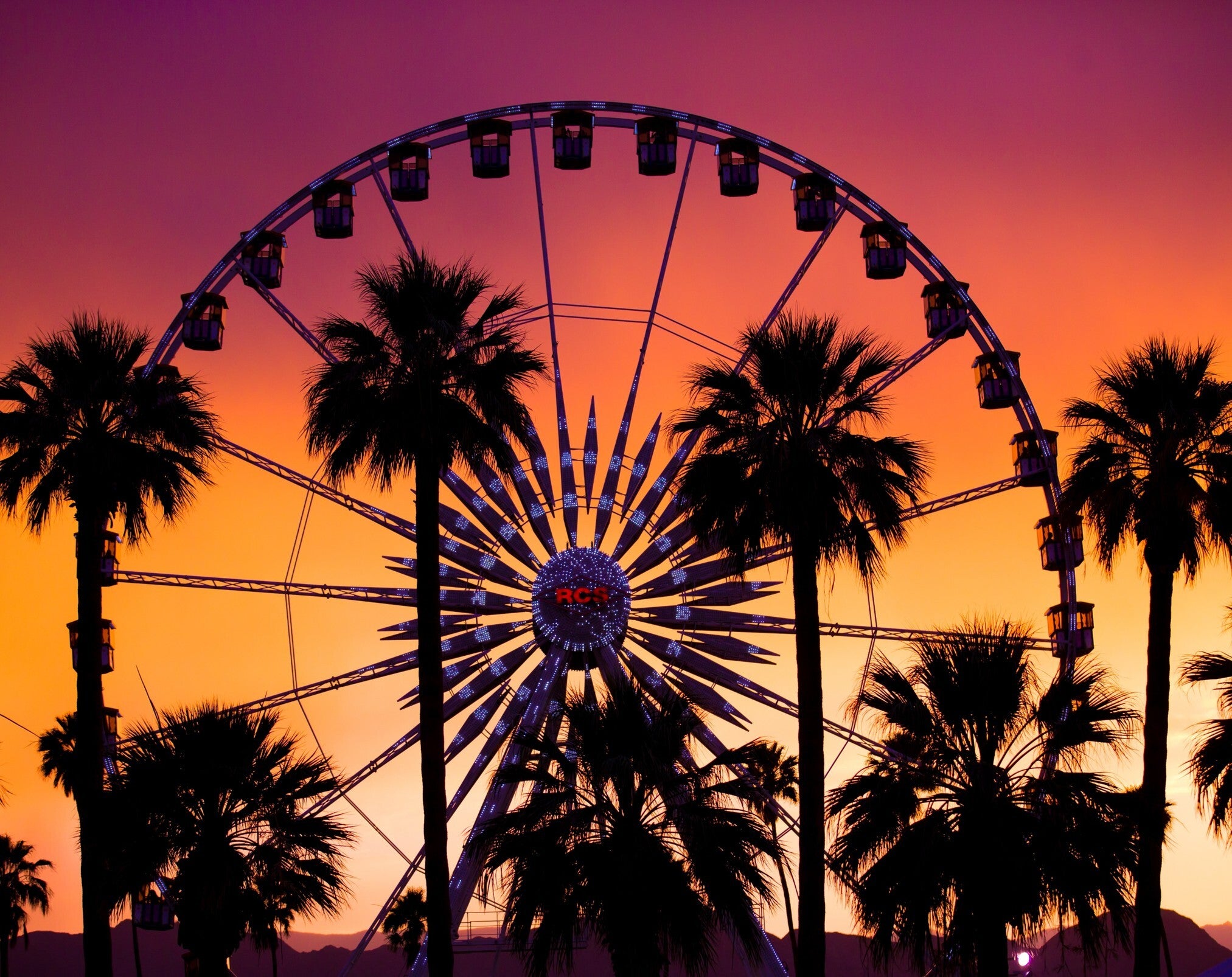 Backdrop Festival Sunset