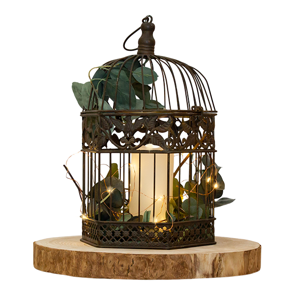 Centrepiece Bird Cage
