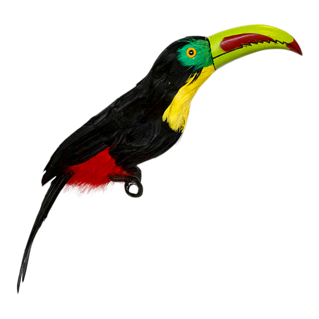Bird Toucan Black