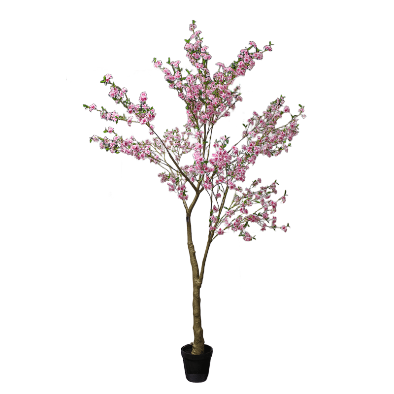 Tree Cherry Blossom Pink