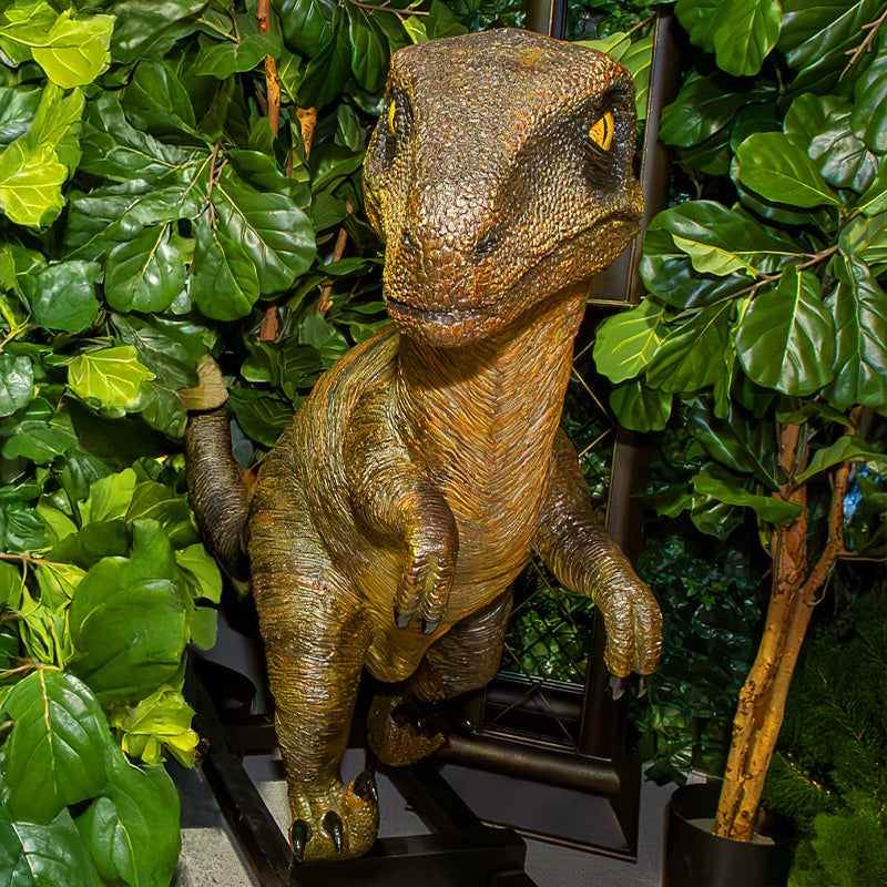 Velociraptor Dinosaur Resin Grey