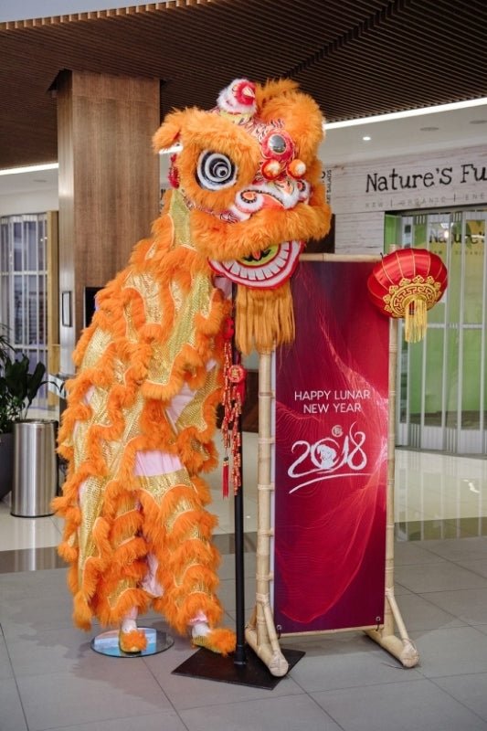 Dragon Head Dancing Fabric Red Yellow Orange with Costume Size S M