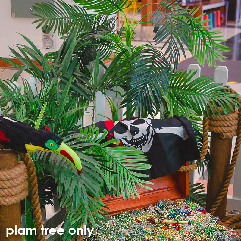 Tree Palm Cane