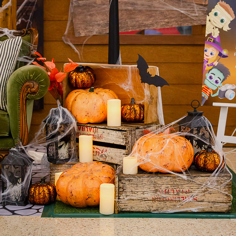 Pumpkin w Lace Glitter Polystyrene Black & Orange
