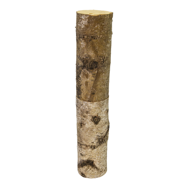Log Birch