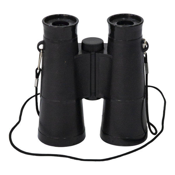 Faux Binoculars