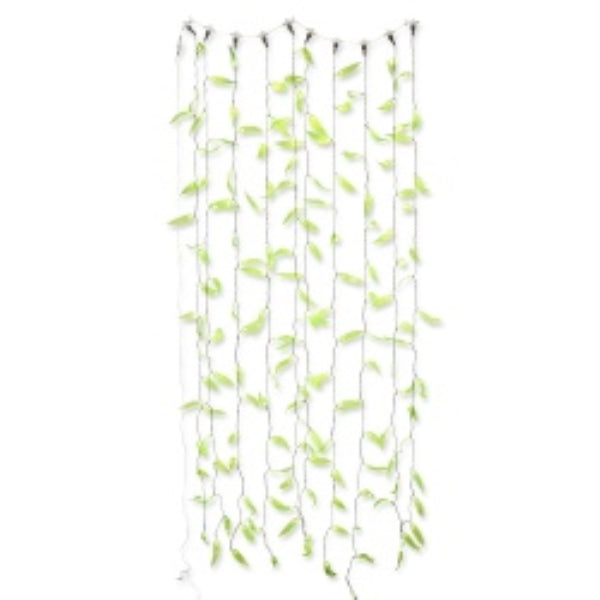 Light Curtain Eucalyptus Leaf Lime