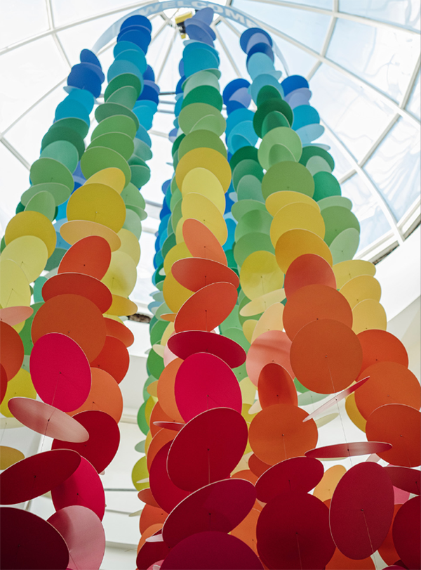 Disc Foamex Assorted Colours