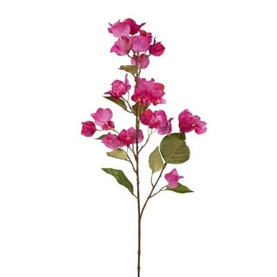 Floral Bougainvillea Pink