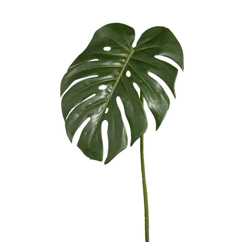 Foliage Monstera Leaf Green 80cm