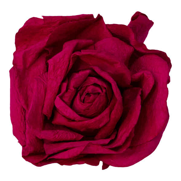Floral Paper Roses Oversized Pink