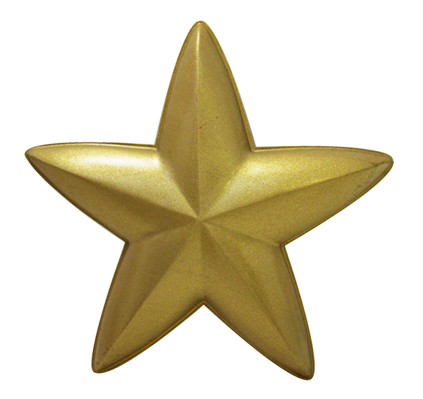 Star 3D 5 Point Double Sided Resin Gold