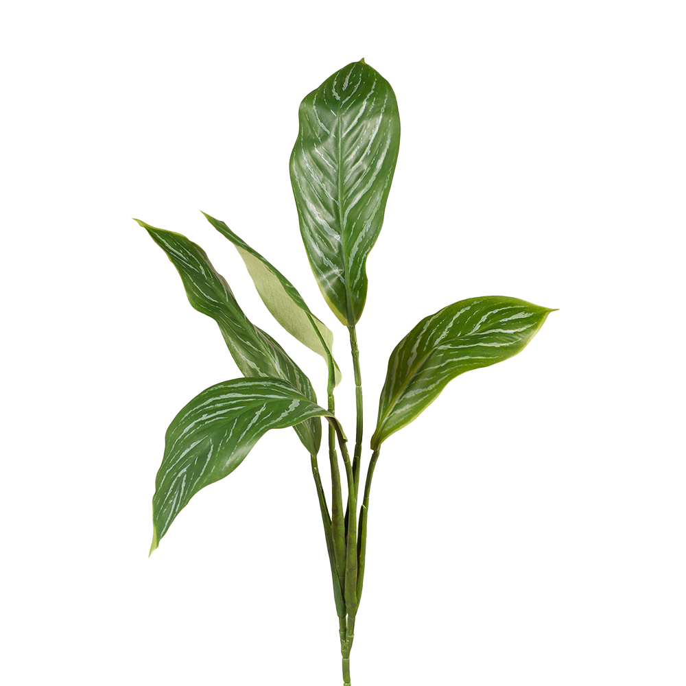 Foliage Silver Queen Leaf Spray 86cm