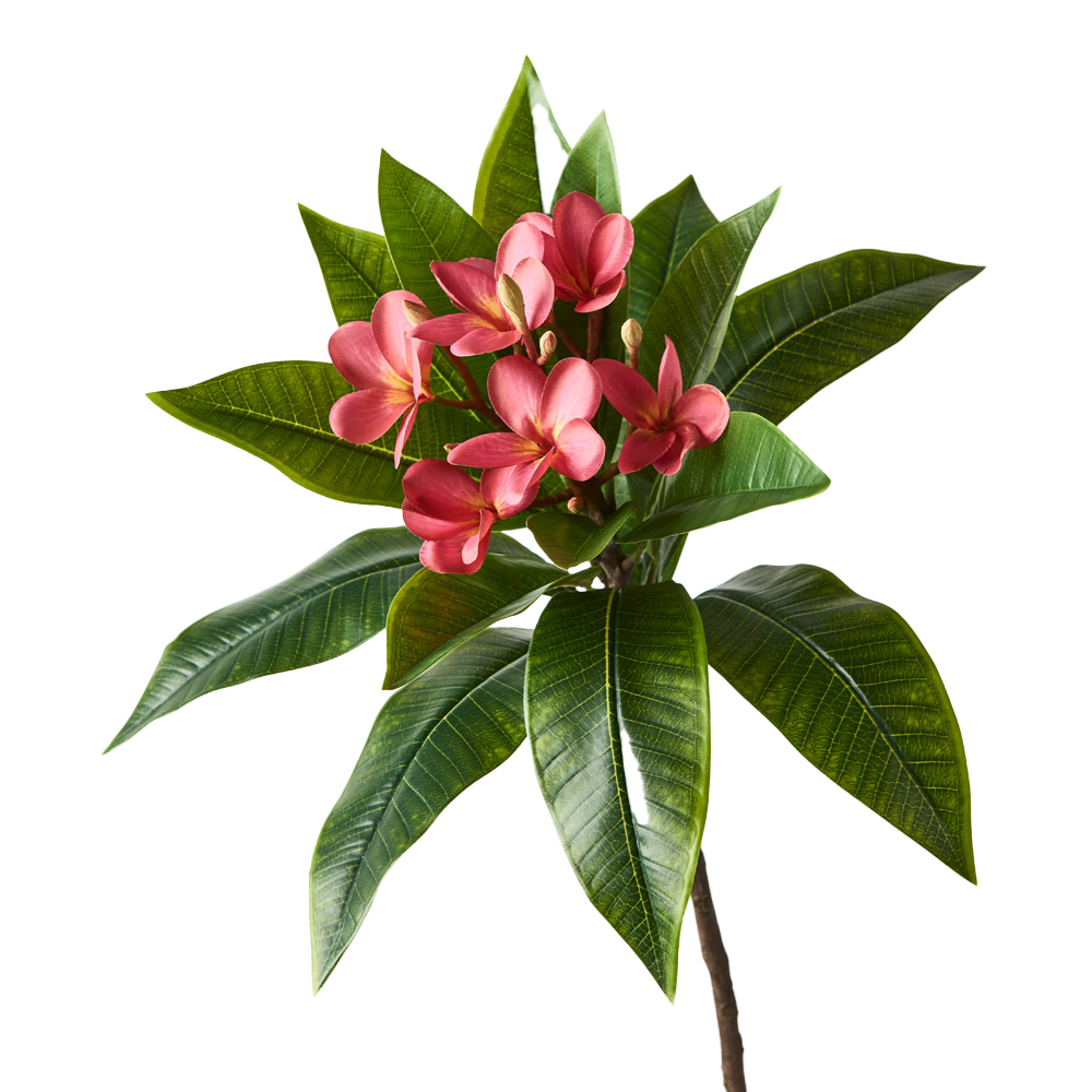 Frangipani Spray Fuchsia