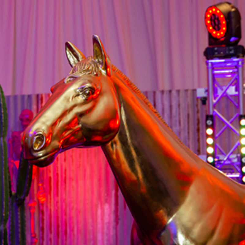 horse prop hire brisbane