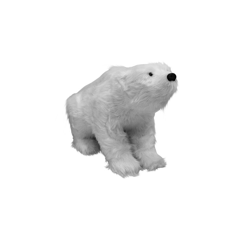 Polar Bear Baby