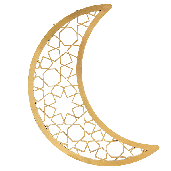 Moon Silhouette
