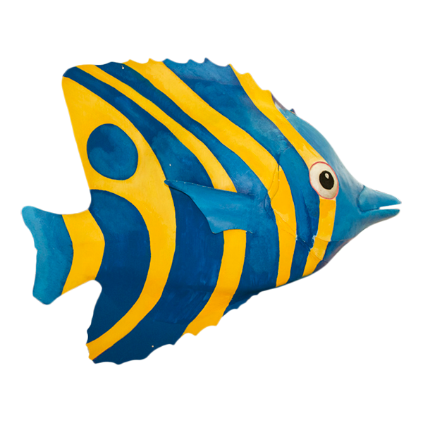 blue and yellow tropical fish