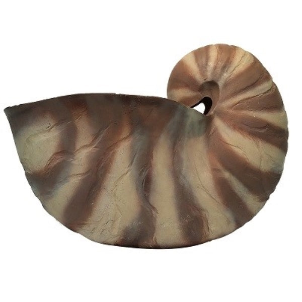 Shell Nautilus Fiberglass Brown & White