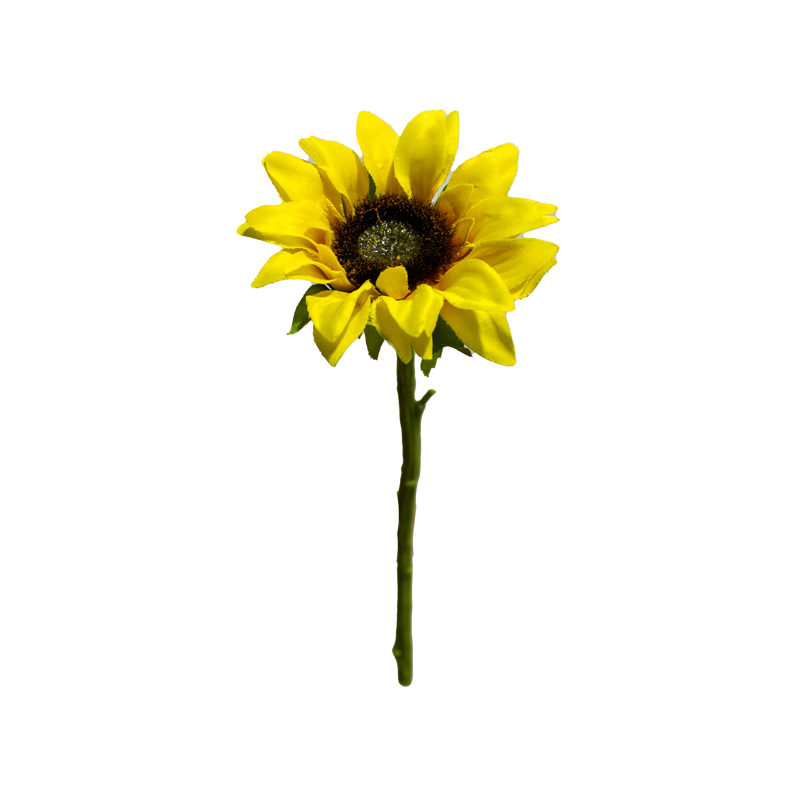 Sunflower Single Stem