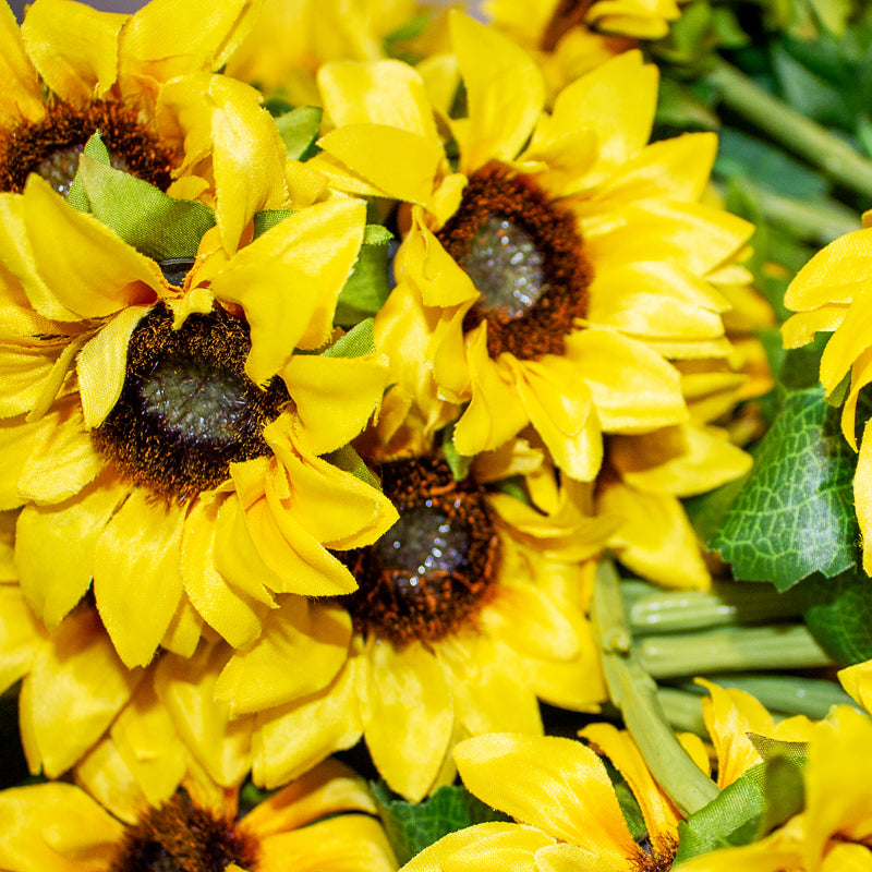 Sunflower Single Stem