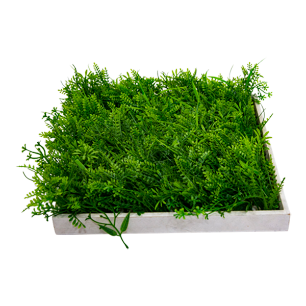 Tray Timber White With Greenery
