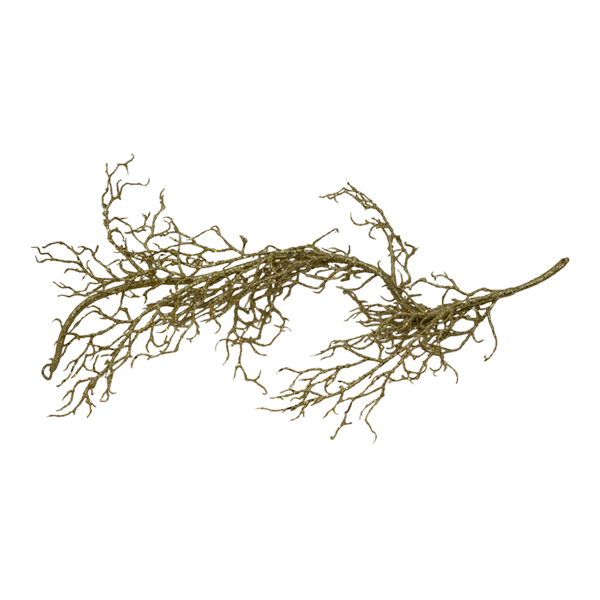Branches Glitter Gold