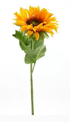 Floral Sunflowers