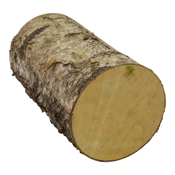 Log Birch
