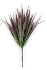 Foliage Podocarpus Grass Bush Green & Purple
