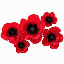 Floral Poppy Red
