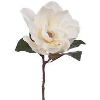 Floral Magnolia White cut stem