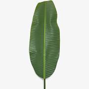 Banana Tree Frond 58cm