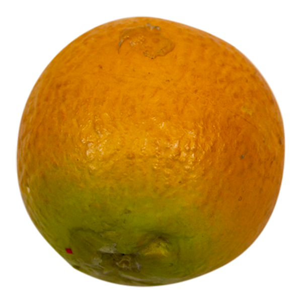 Oranges
