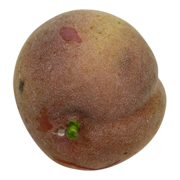 Peaches