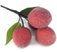 Lychee