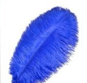 Feathers Ostrich Blue Assorted Sizes