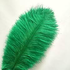 Feathers Ostrich Dark Green Assorted Sizes