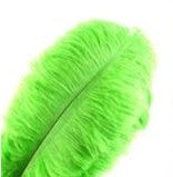Feathers Ostrich Lime Green Assorted Sizes