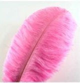 Feathers Ostrich Pink Assorted Sizes