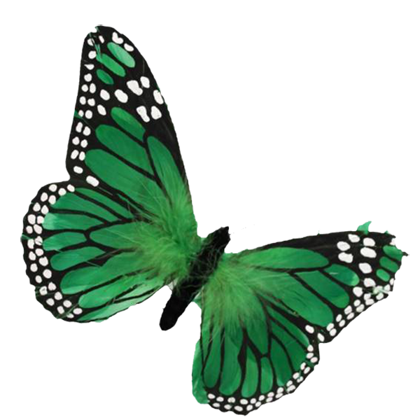 Butterfly Green