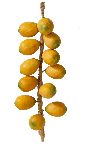 Lemons On Twine Yellow