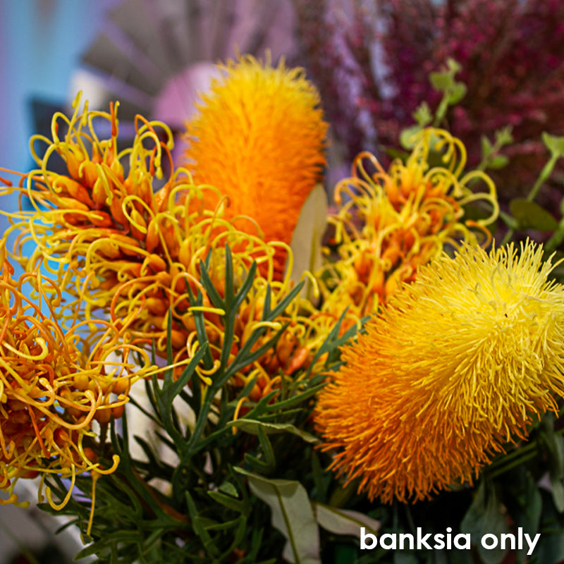 Floral Native Banksia Orange