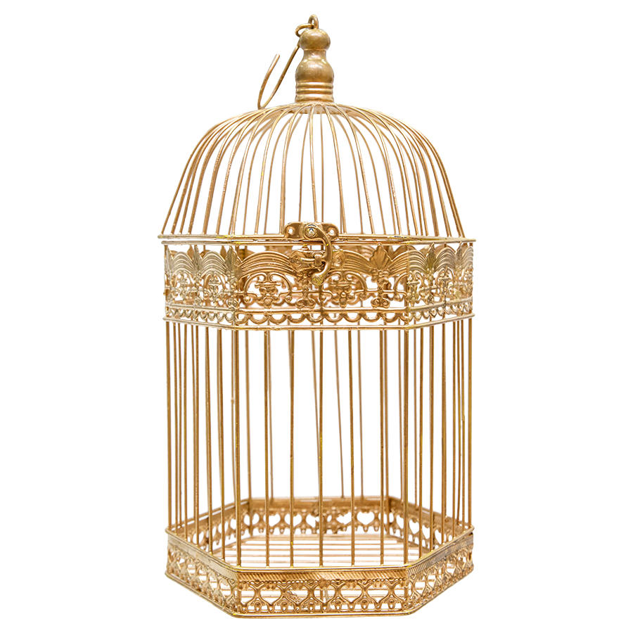 Birdcage Gold Large