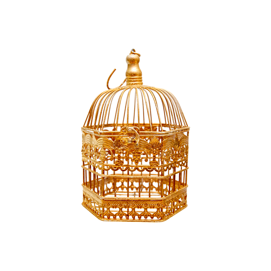Birdcage Gold Small